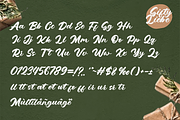Gifty Liebe Script, a Handwritten Font by Glyphstyle (Thumbnail 6 of 6)