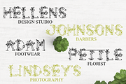 Leaphabet, a Serif Font by Kris Davie (Thumbnail 6 of 10)