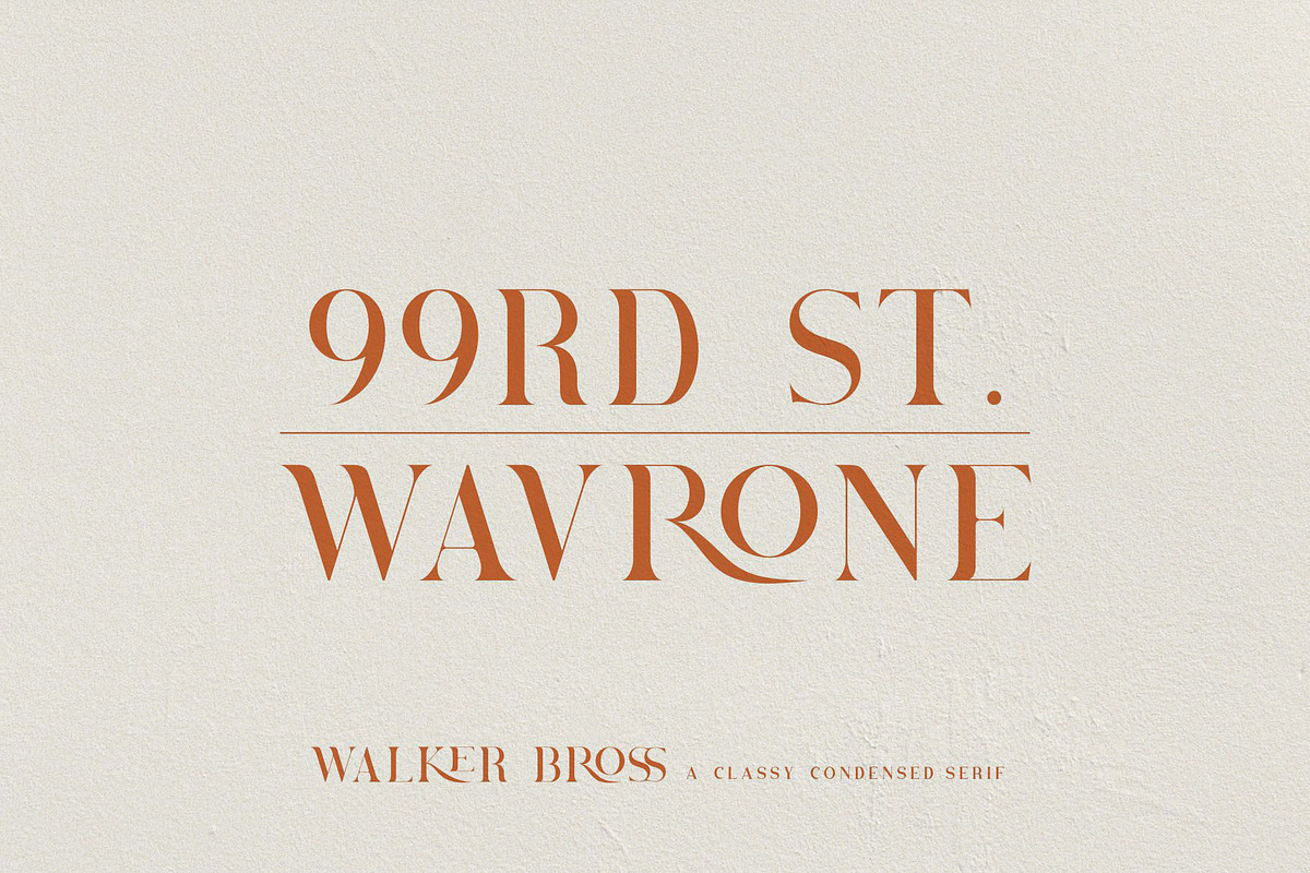 Brovile. A Classy Serif preview 3