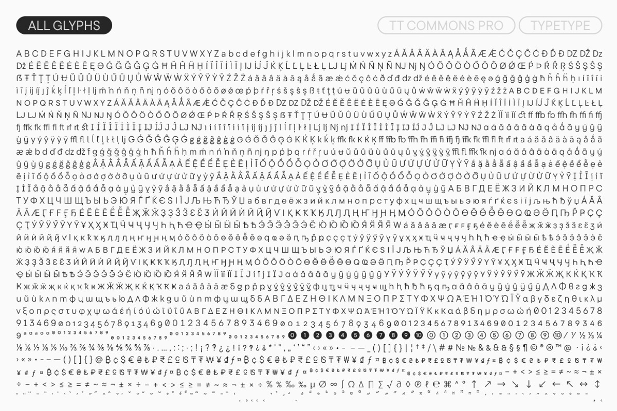TT Commons Pro Basic, a Sans Serif Font by TypeType (Photo 10 of 15)