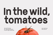Germalt, a Sans Serif Font by Typesketchbook Foundry (Thumbnail 4 of 7)