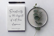 Rachelyne - Modern Calligraphy Font, a Script Font by StringLabs (Thumbnail 3 of 9)