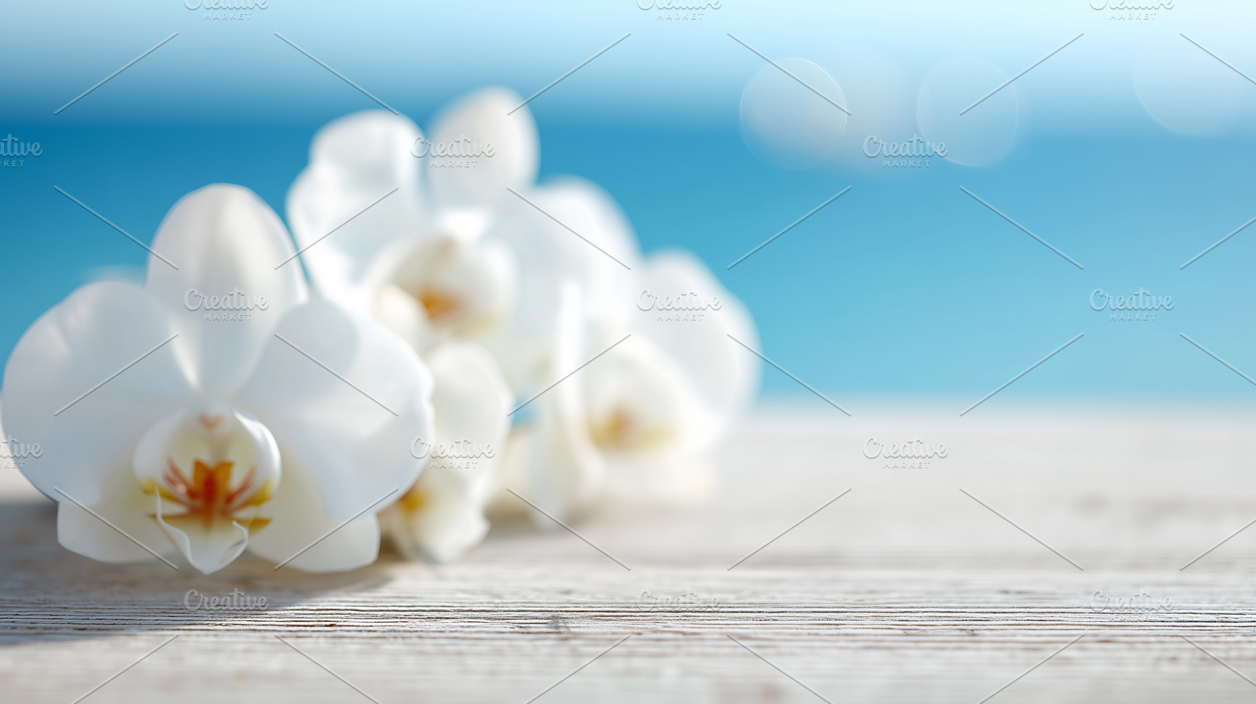 White orchid flowers on a wooden, a Nature Photo by MistyDay