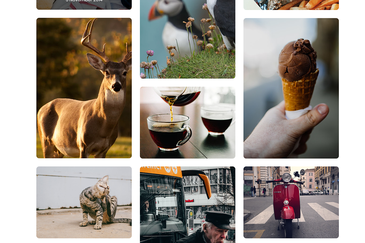 Peony - Web Template PSD, a Templates & Theme by Themeix (Photo 2 of 4)