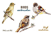 Birds on a branch in watercolor, an Animal Illustration by lidiya_zayac (Thumbnail 2 of 3)