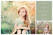 Summer Collection - PS Bundle preview 3