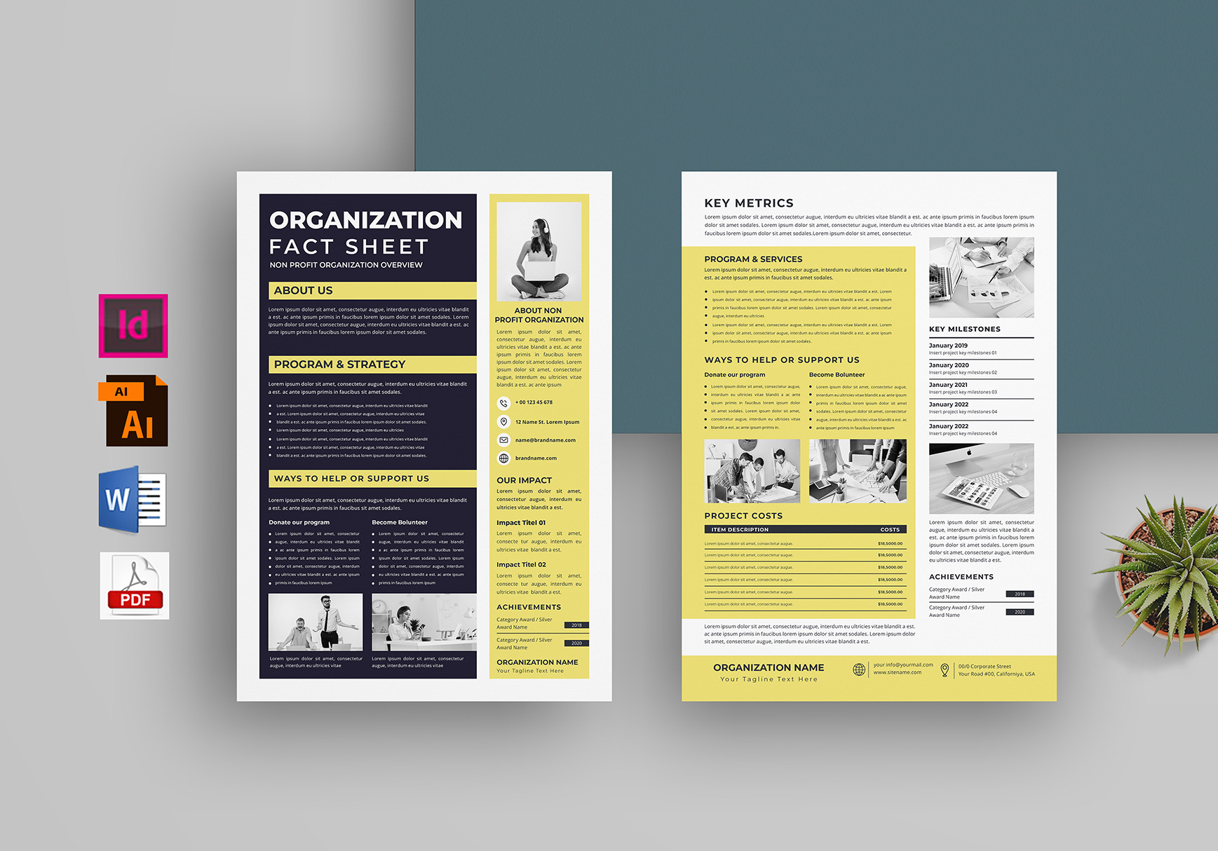 Nonprofit Organization Fact Sheet, a Flyer Template by obayes