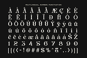 Inword - Stylish Serif Font, a Serif Font by Say Studio (Thumbnail 13 of 13)