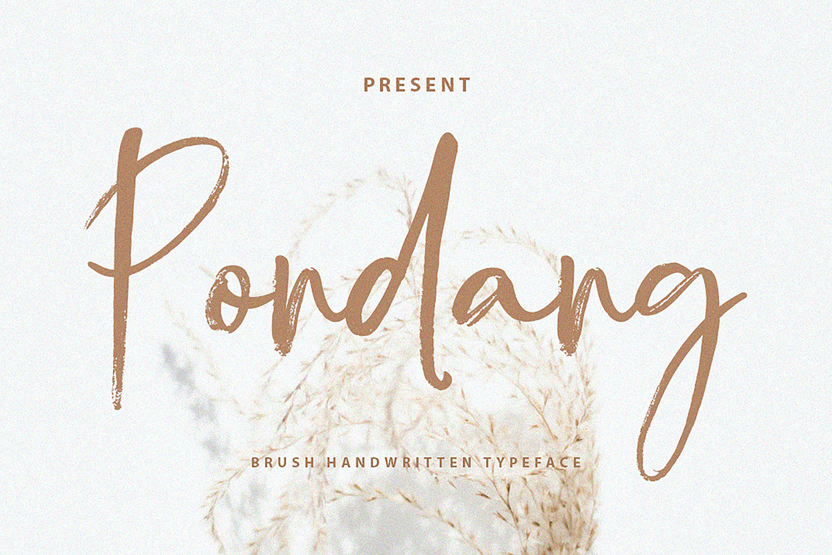 Pondang Brush, a Script Font by Realtype (Photo 1 of 9)