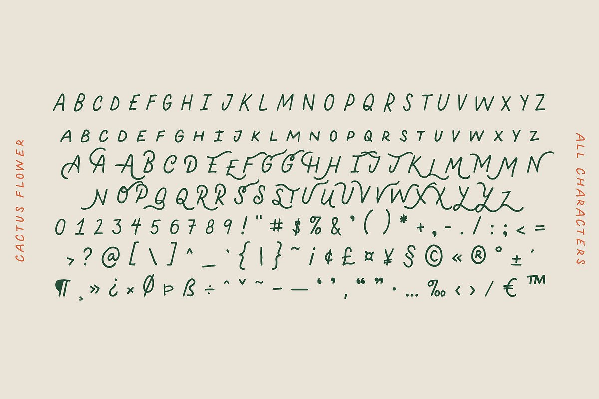 Cactus Flower - Handwritten Font, a Font by Creative Type (Photo 7 of 7)