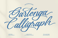 Gartenya Calligraph Modern Font