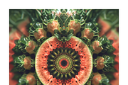 Muit Co · Retro Fruit Mandalas, a Food Illustration by milatovar (Thumbnail 6 of 22)