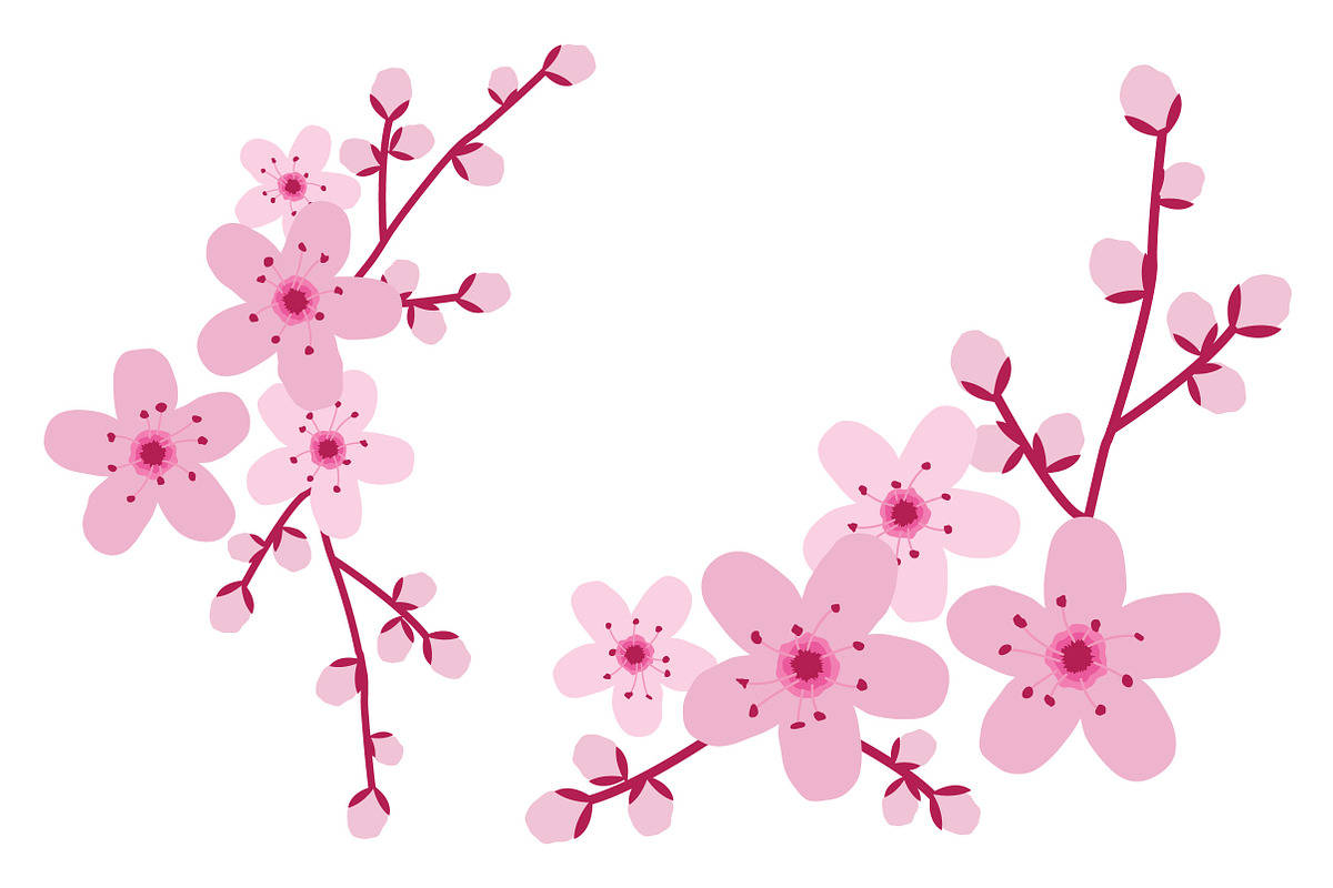 Vector Cherry Blossom Flowers, an Illustration by Sarah Hearts (Photo 2 of 3)