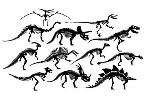 Dinosaurs Skeletons Patterns And Set