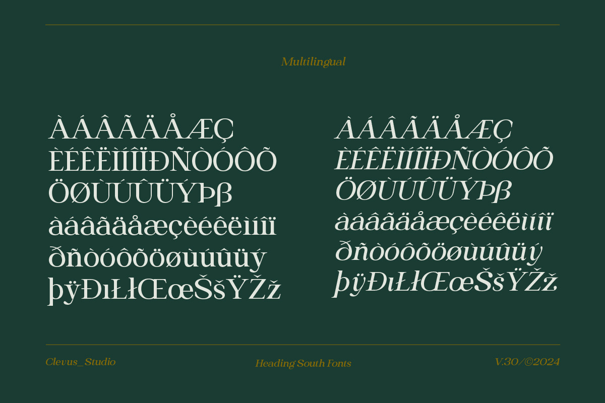 Heading South | Retro serif, a Serif Font by ClevUs (Photo 14 of 14)