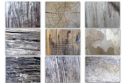 NATURAL WOOD TEXTURES, a Texture Graphic by AnimadDesign (Thumbnail 4 of 7)