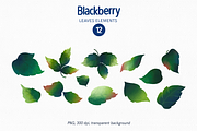 Blackberry fruits and leaves clipart, a Food Illustration by Harmony Draws (Thumbnail 3 of 6)