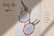 Sketch Box for Procreate, a Brush Add-On by Liquid Amethyst Art (Thumbnail 7 of 8)