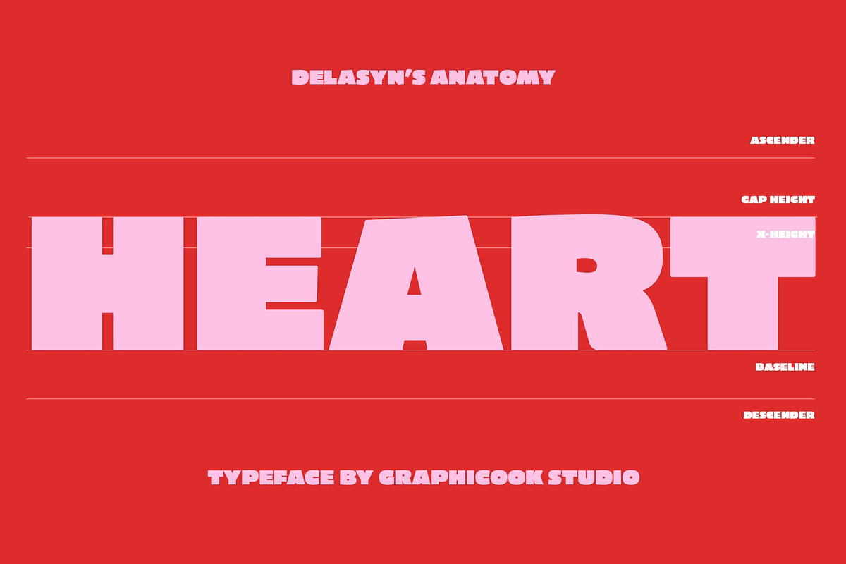 Delasyn, a Sans Serif Font by graphicook (Photo 5 of 10)