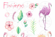 Flamingo clipart, watercolor, an Illustration by Monique Digital Art (Thumbnail 2 of 2)