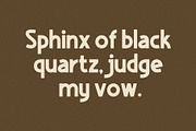 Fjorden Font Duo Sans Serif Font, a Sans Serif Font by Heinzel Std (Thumbnail 11 of 15)