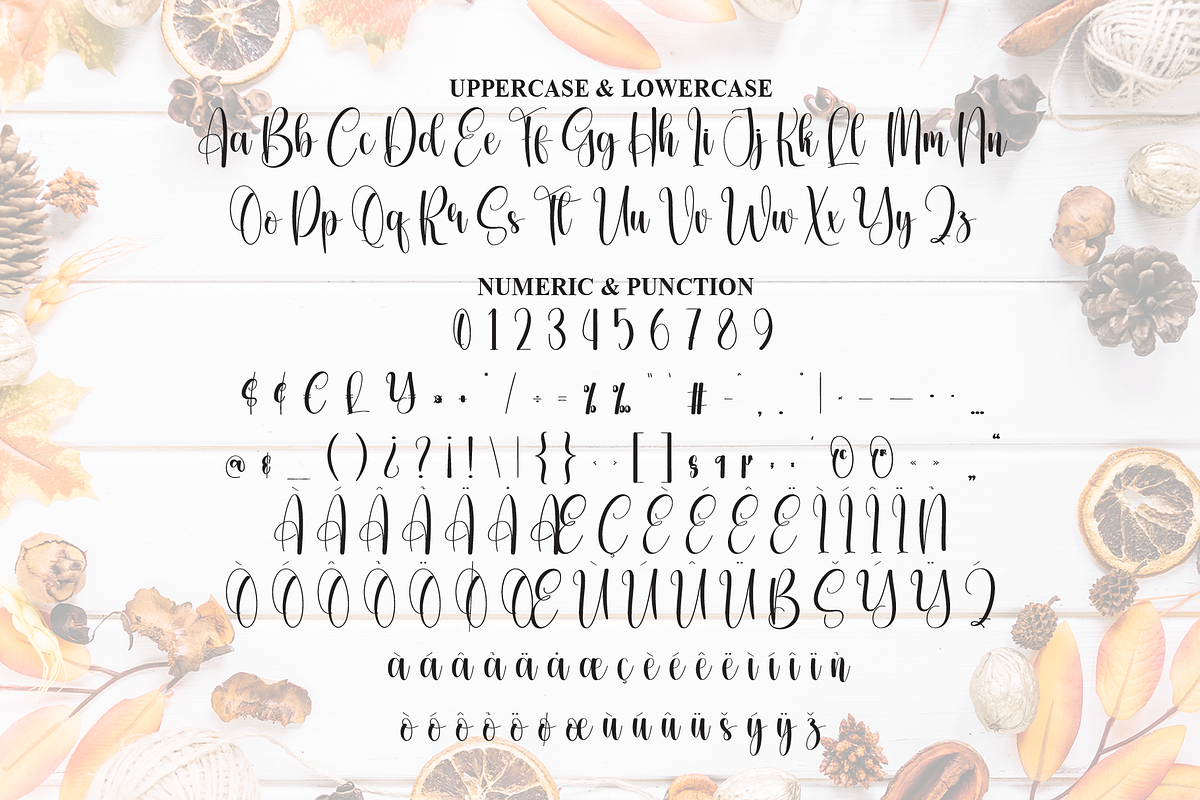 Thanks Giving | Script Font, a Handwritten Font by Scratchones (Photo 7 of 9)