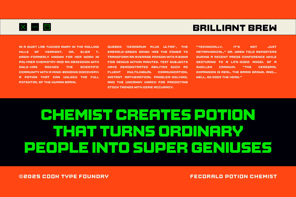 Fecorald, a Sans Serif Font by graphicook (Photo 7 of 10)