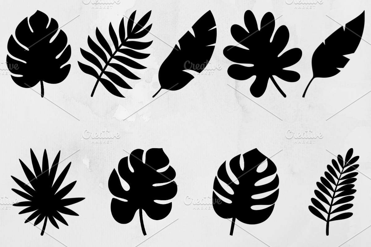 Tropical Leaves Silhouette SVG, a Decorative Illustration by newminddesign (Photo 1 of 3)