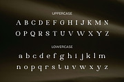 Queenia – Modern Elegant Serif Typef, a Serif Font by Vadovastd (Thumbnail 10 of 11)