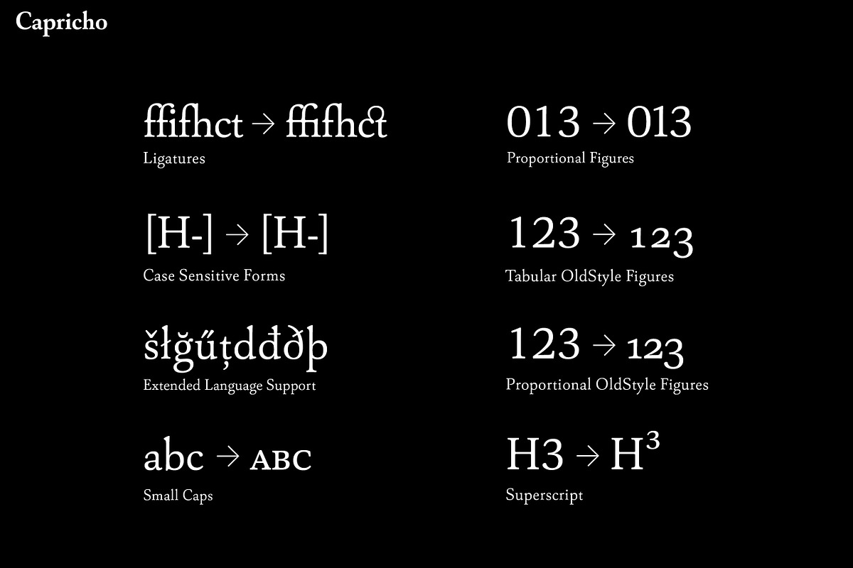 Capricho, a Serif Font by Hoftype (Photo 14 of 14)