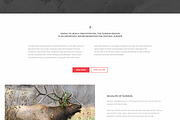 Sumava: One-Page PSD Template, a Landing Page Template by Devero (Thumbnail 6 of 6)