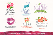 20%off • Watercolour Graphics Quick!, an Illustration by Nicky Laatz (Thumbnail 3 of 5)