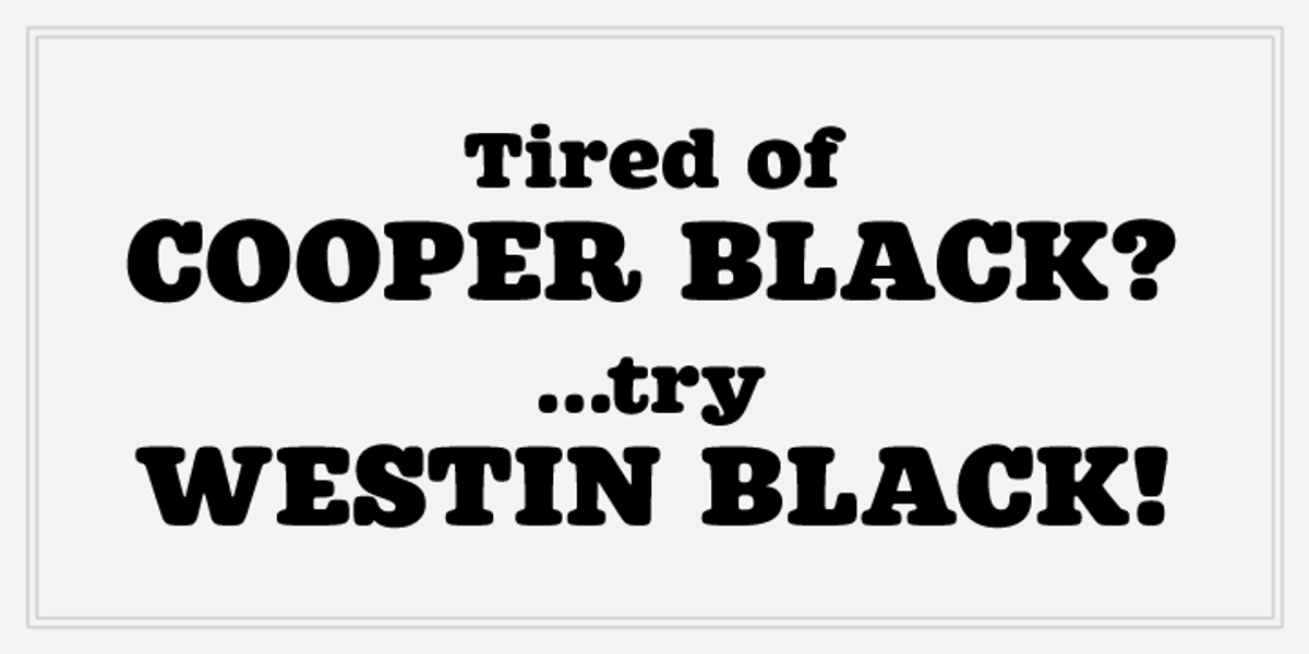 Westin, a Slab Serif Font by Miller Type Foundry (Photo 3 of 4)