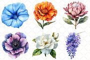 Watercolor Flower Collection Clipart, an Illustration by Black Bird Studio (Thumbnail 5 of 5)