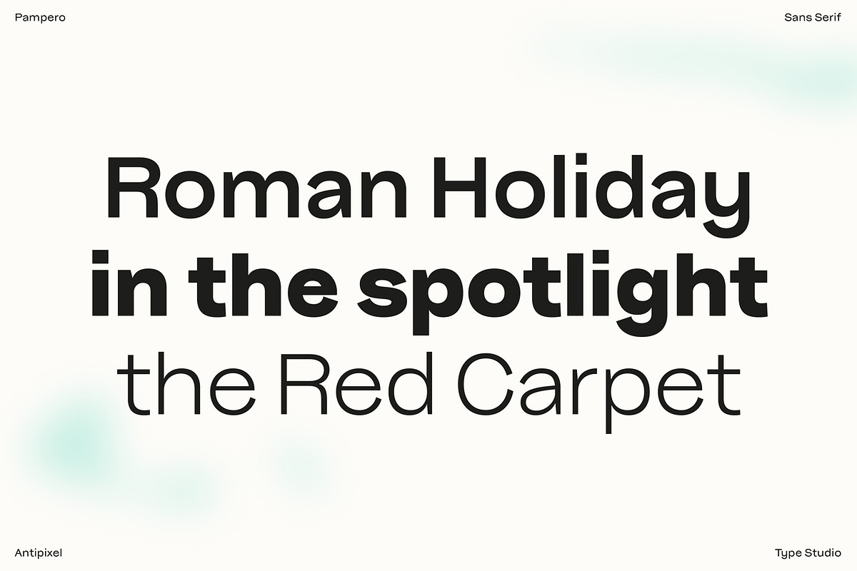 Pampero | Modern Display & Text Sans, a Sans Serif Font by Antipixel Type Studio (Photo 13 of 16)
