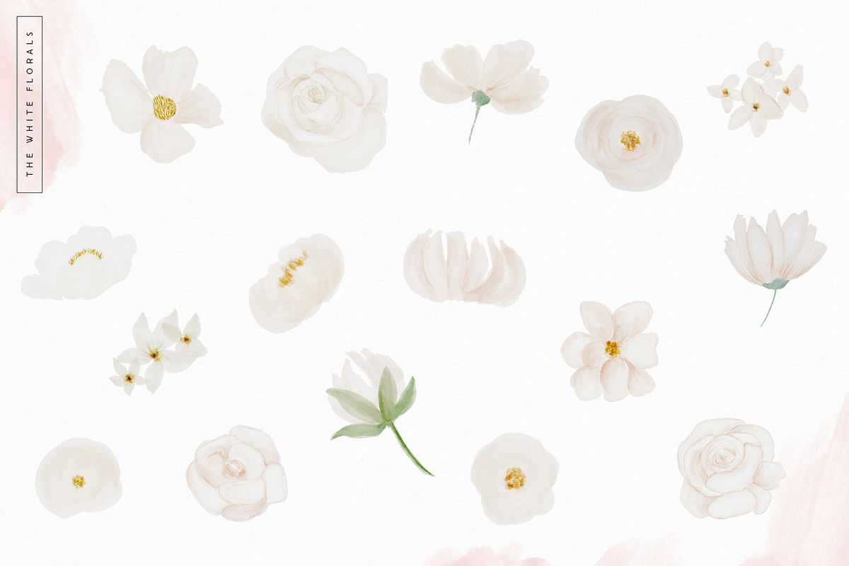 Blush & Botanica Florals, an Illustration by PrettyGrandmillennial (Photo 2 of 13)