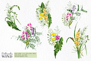 Wild floral clipart meadow flowers, an Illustration by Ksenia Shmakova (Thumbnail 3 of 11)