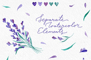 Watecolor Lavender Clip Art Set, an Illustration by Yashroom (Thumbnail 6 of 7)