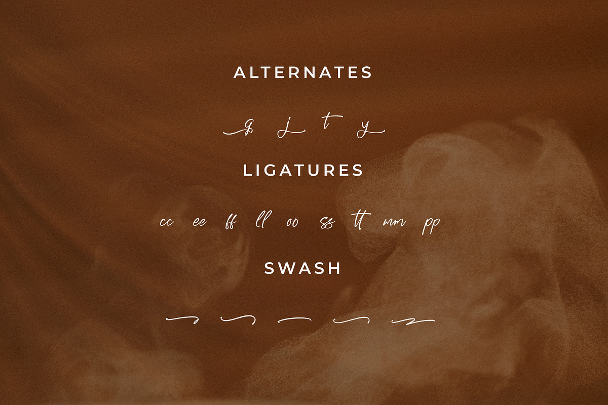 Wagenatta, a Handwritten Font by Integritype Studio (Photo 11 of 15)