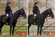 Creative Collection#2 LUTs /Filters, a Preset Add-On by CineMart (Thumbnail 15 of 24)