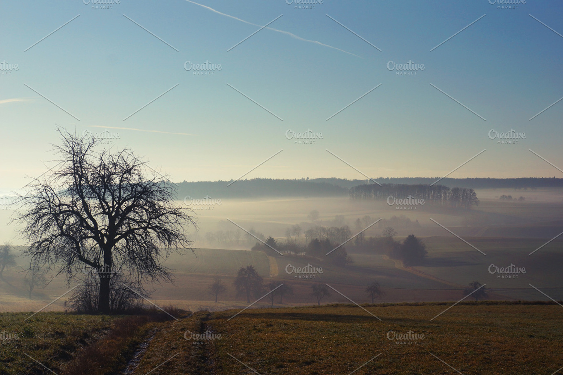 Morning View Containing Landscape Morning And Mist
