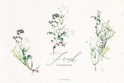 Fresh Watercolor Botanical Clip Art, a Decorative Illustration by whiteheartdesign (Thumbnail 3 of 5)