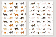 Domestic shorthair cat, an Animal Illustration by pet design shop (Thumbnail 6 of 6)