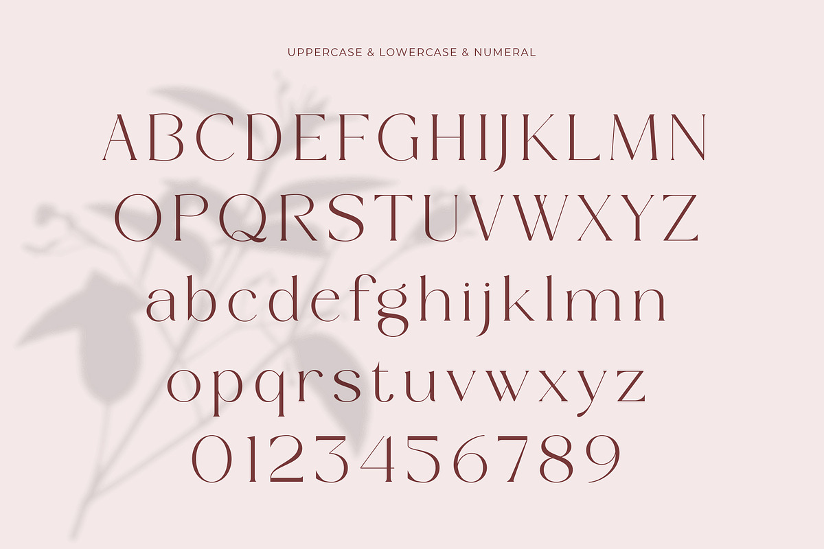 Bromise - Luxury Serif Typeface, a Serif Font by Muflieart (Photo 9 of 10)