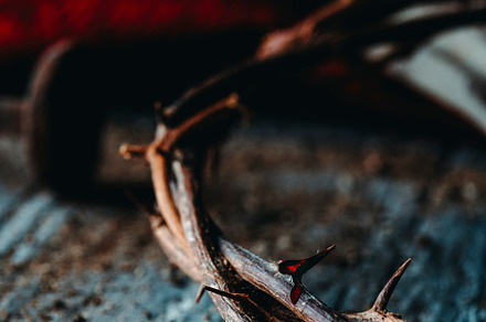 crown of thorns with fresh blood and nail, a Photo by Nito