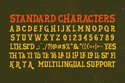 String Hopper - Display Font, a Serif Font by Letterhend Studio (Thumbnail 5 of 9)