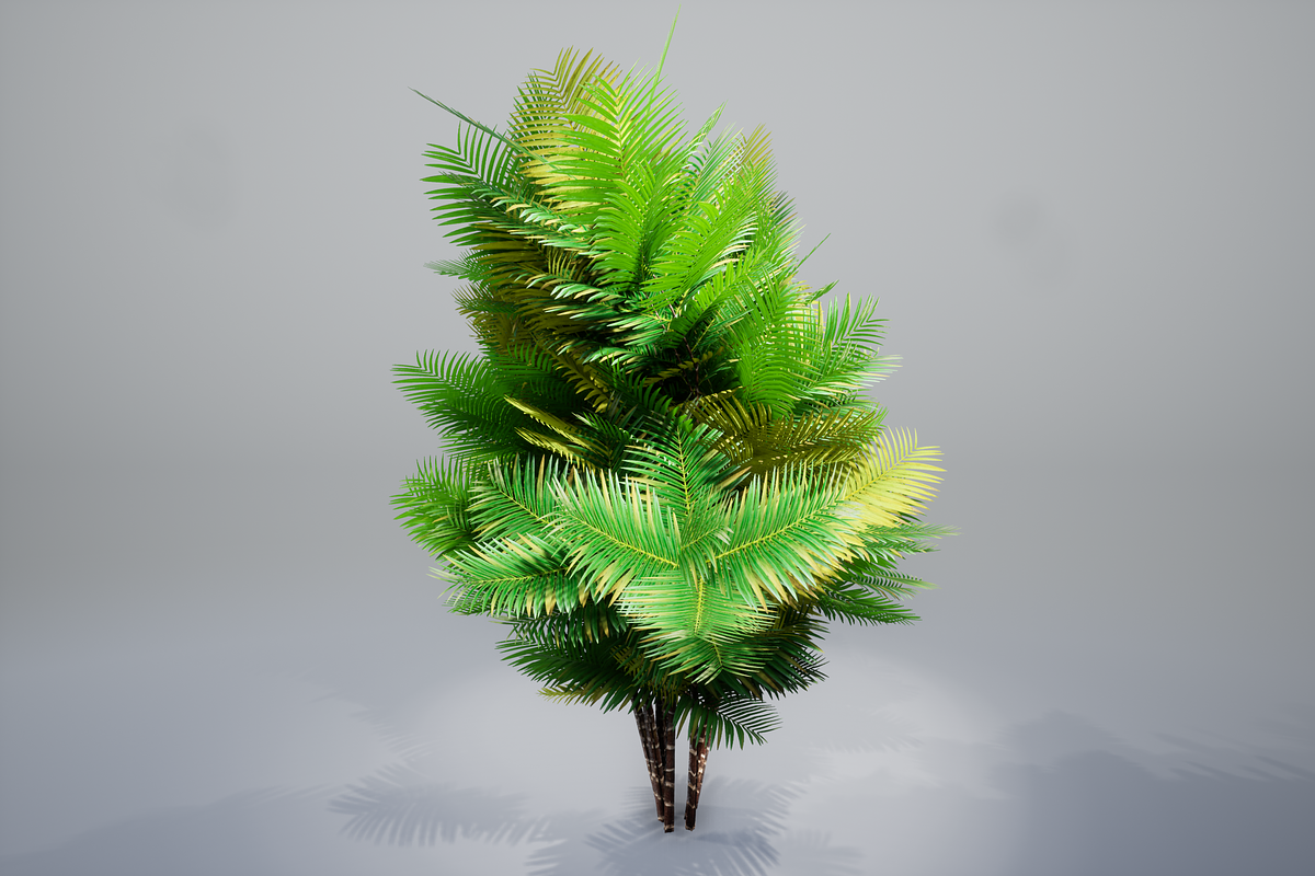 Pinanga coronata, an Environmental 3D Model by AndrewWhite (Photo 6 of 25)