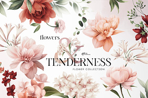 Flowers collection, floral clipart