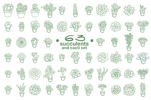 63 Succulents illustration set