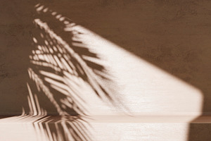 Plam shadow podium wall, an Architecture Photo by hitdelight